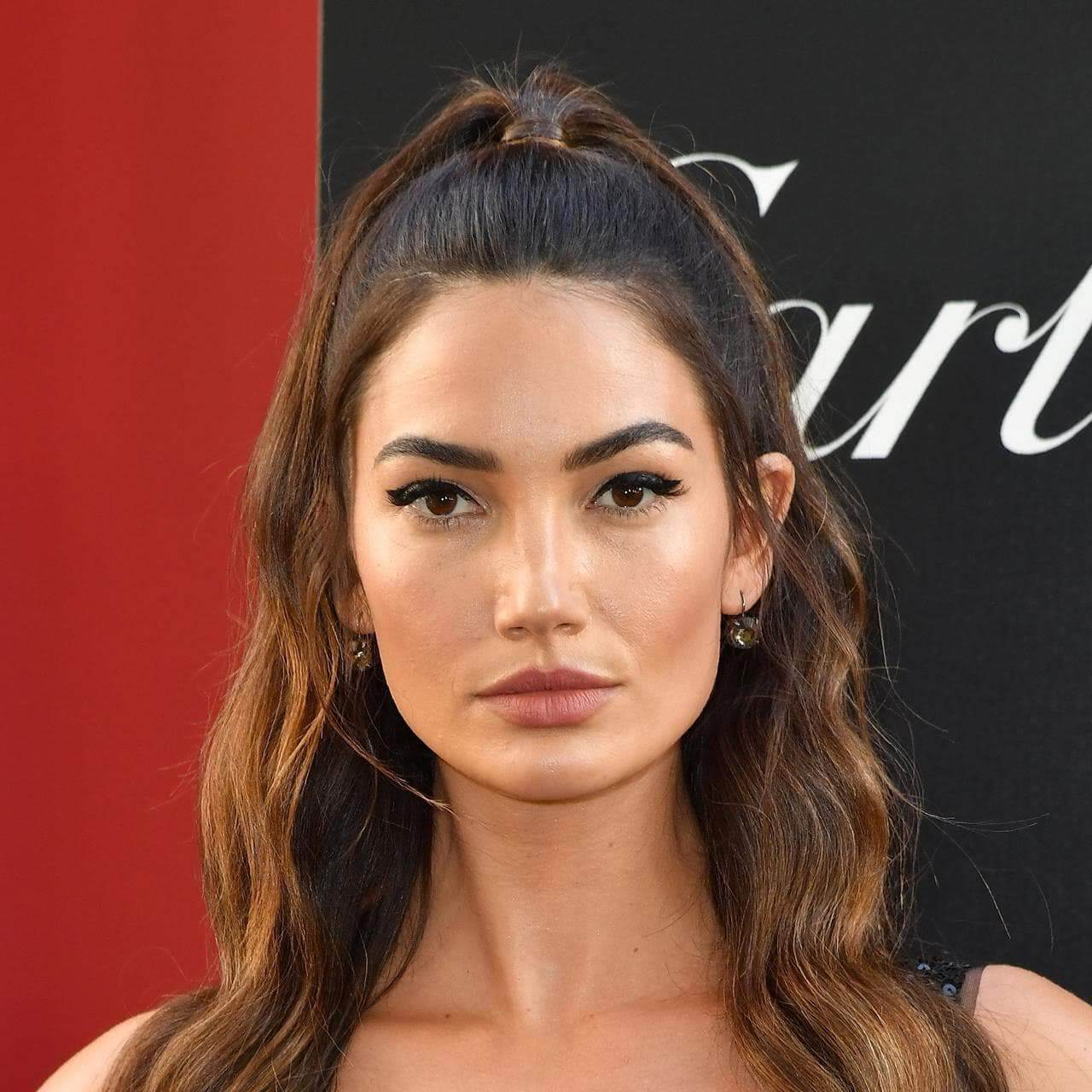 Lily Aldridge - Biographie