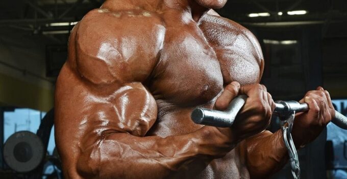 Jordan Janowitz doing cable biceps curls as a part of a photo shoot looking big and muscular