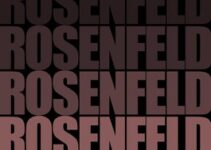 Literary Hub : Rosenfeld, critique littéraire